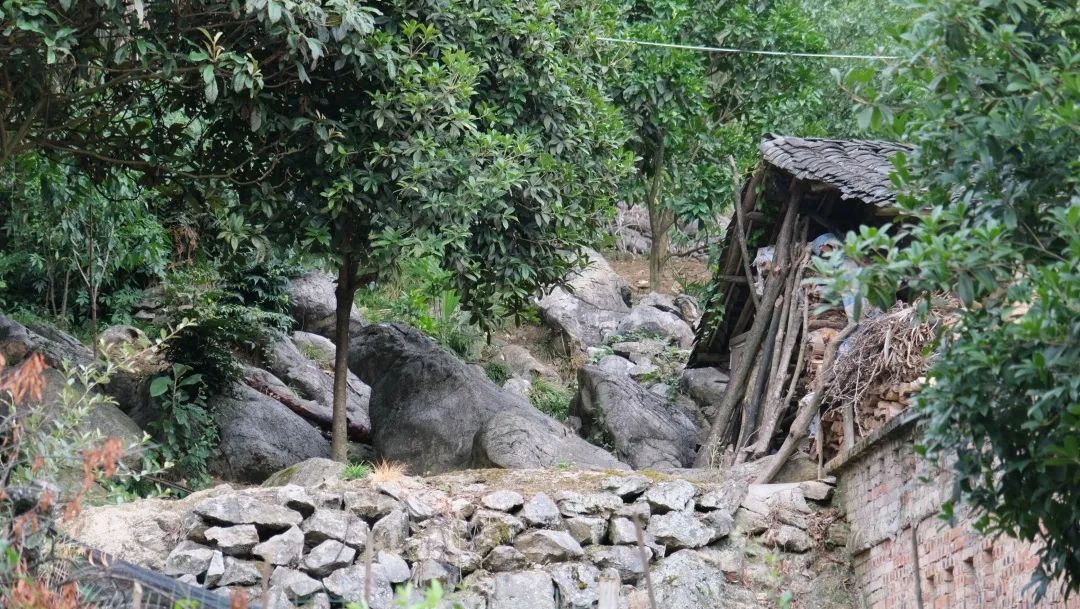 1659748538342018.jpg 640 (11).jpg