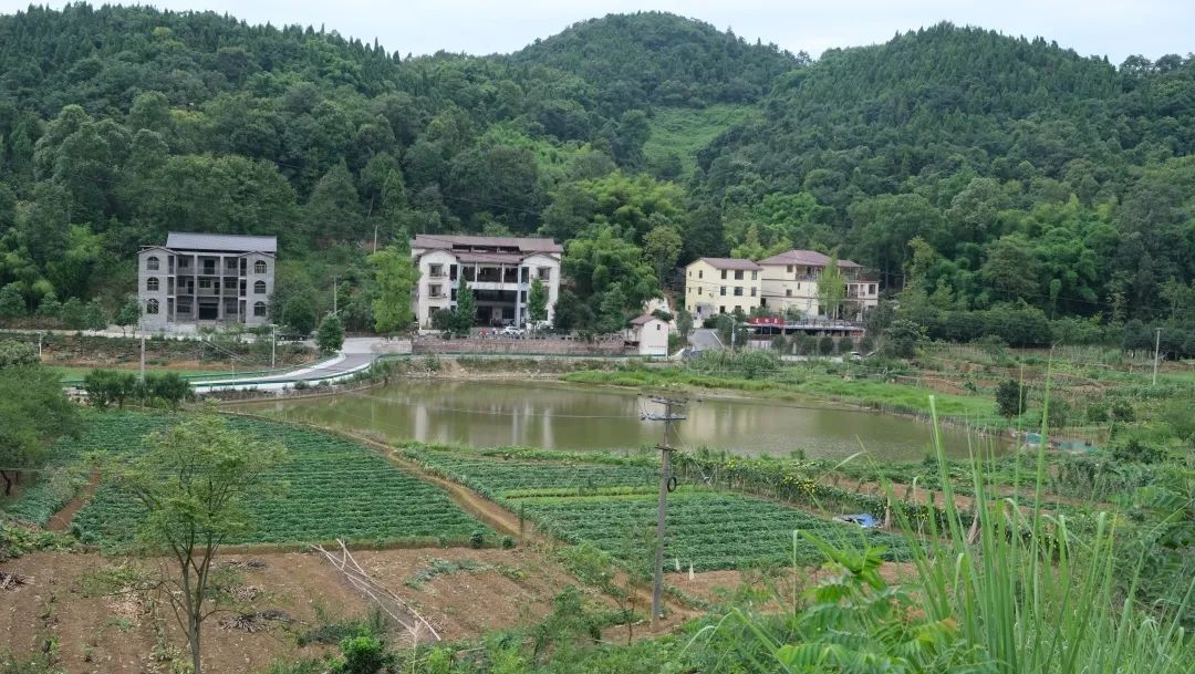 1659748547985904.jpg 640 (12).jpg