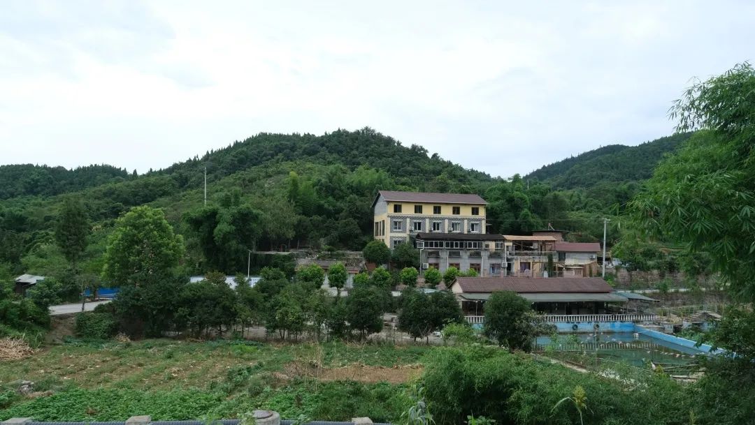 1659748565445890.jpg 640 (14).jpg