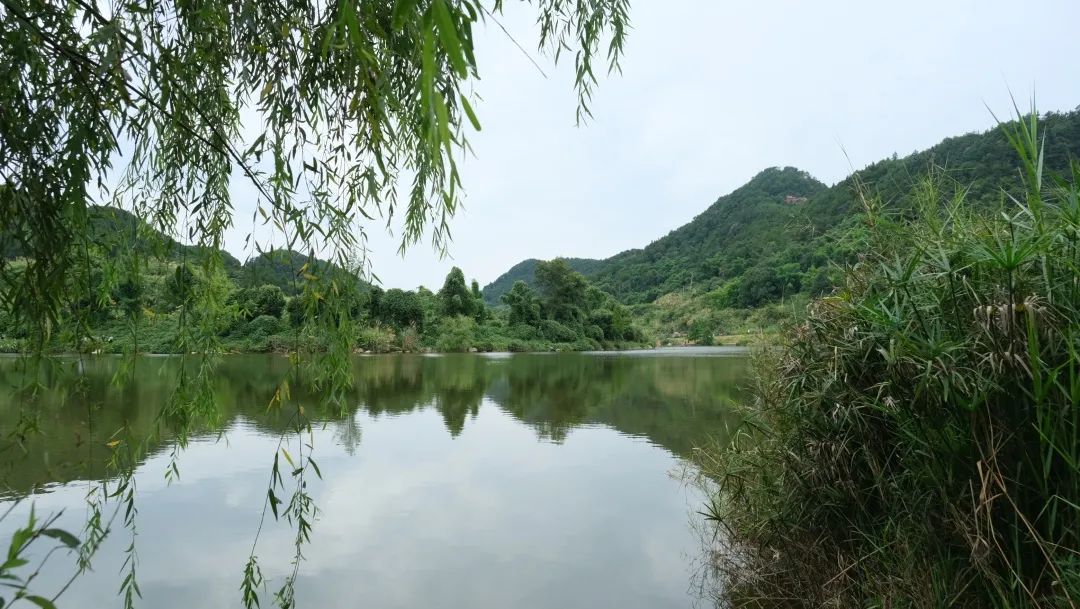 1659748581248215.jpg 640 (16).jpg