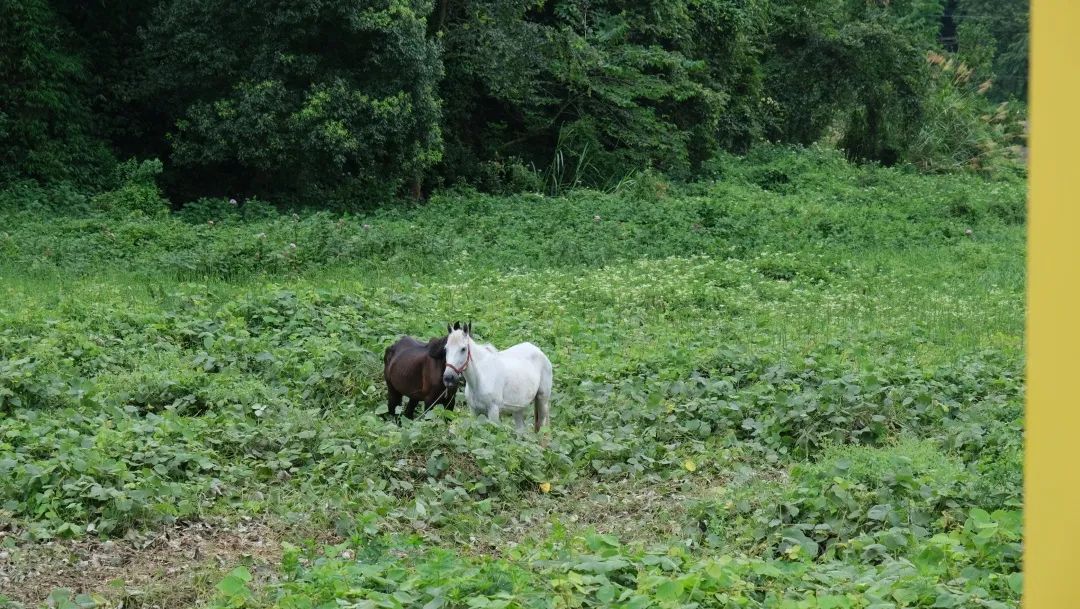 1659748596568684.jpg 640 (17).jpg