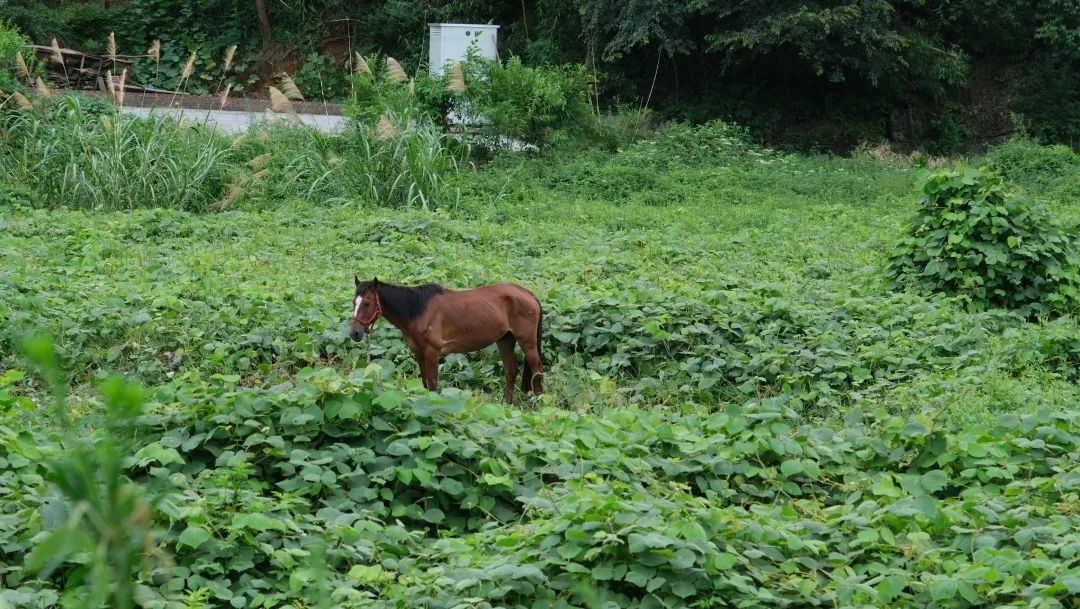 1659748604854589.jpg 640 (18).jpg