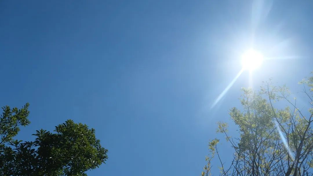 1660528561294278.jpg 640.jpg