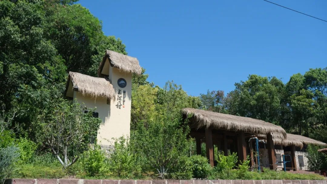 1660528578854192.jpg 640 (1).jpg