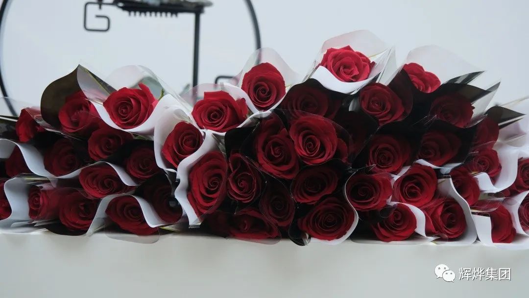 1677720176680106.jpg 640.jpg