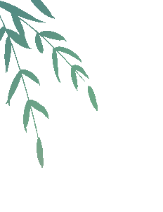 1698830749430327.gif 640 (2).gif