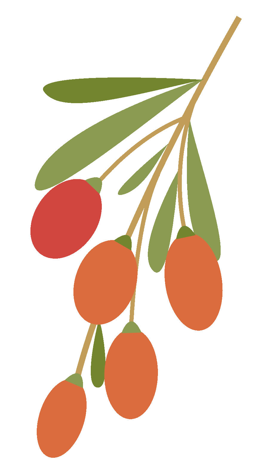 1702692430290585.gif 640.gif