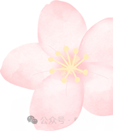 1709953043428516.png 640 (4).png