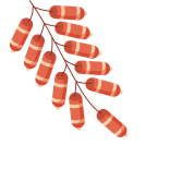 1712047583669503.gif 640.gif