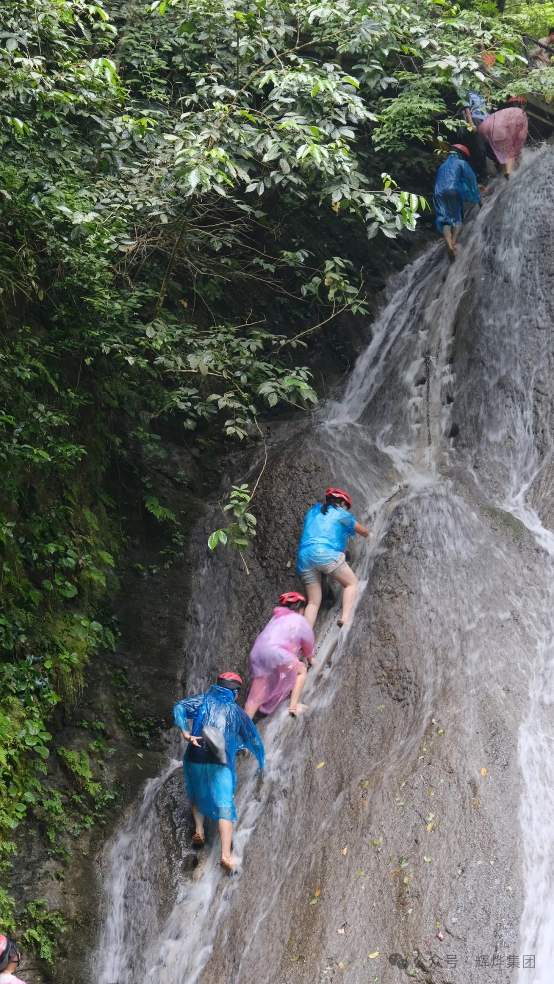 1718331414364697.jpg 640.webp (12).jpg