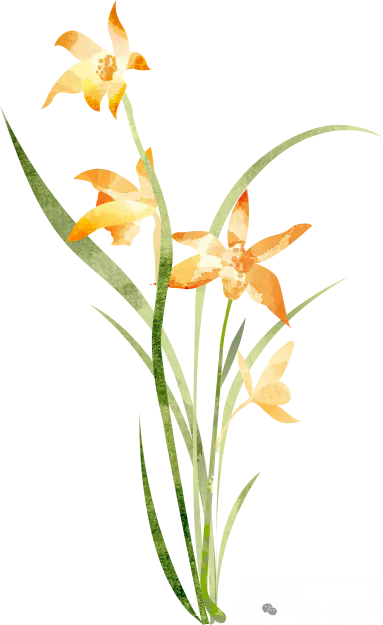 1724892999531801.png 640.webp (29).png