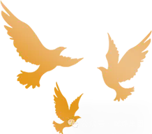 1725345174362949.png 640.webp (15).png