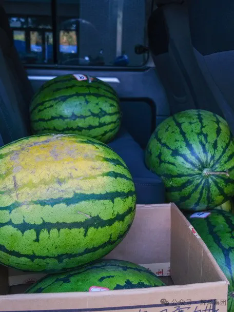 1726022858707802.png 640.webp (4).png