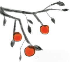 1731030336476076.png 640.webp (23).png