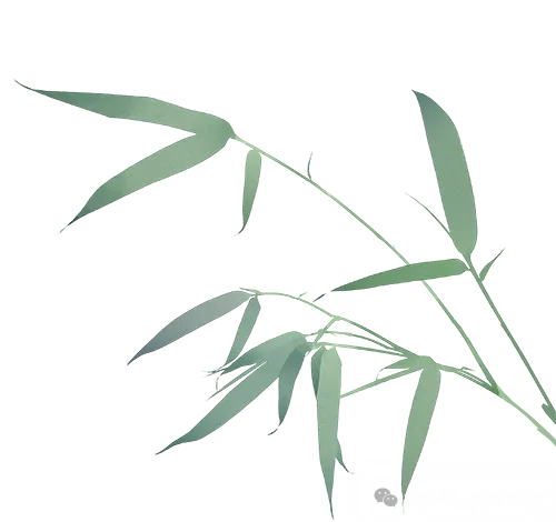 1731030362202474.png 640.webp (3).png