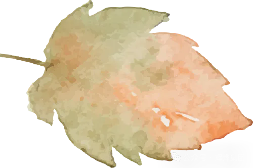 1731030577807013.png 640.webp (18).png