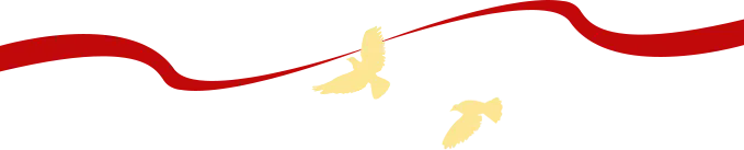 1733880683819956.png 640.webp.png