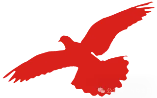 1752802553176017.png 640.webp (3).png