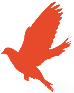 1752802589662166.png 640.webp (4).png