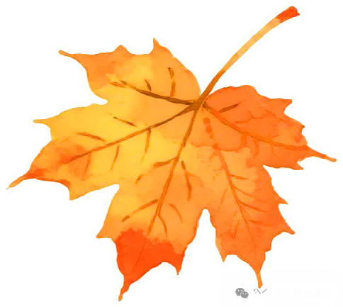 1758507922199334.png 640.webp.png