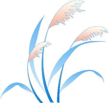 1758508128382991.gif 640 (1).gif