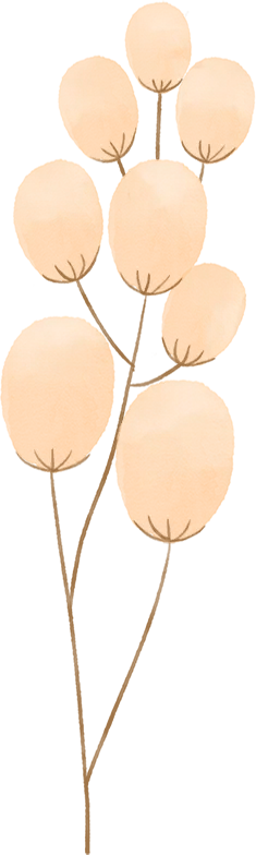 1773123303950180.png c680fb7755bf31ae215bf93a741beb77_sz-138566.webp.png