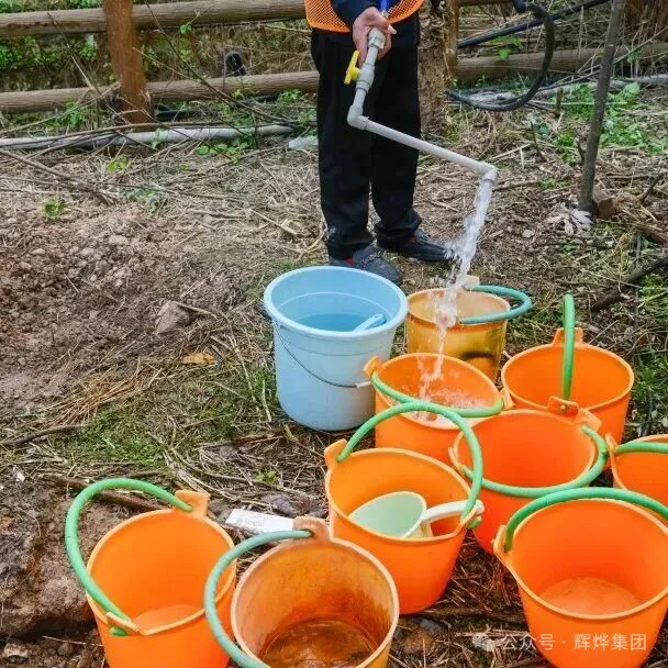 1773646332864910.png 640 (1).webp.png