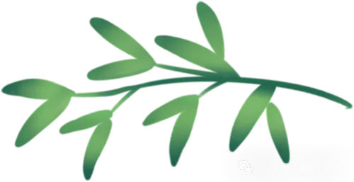 1782959259348367.png 640 (2).webp (2).png